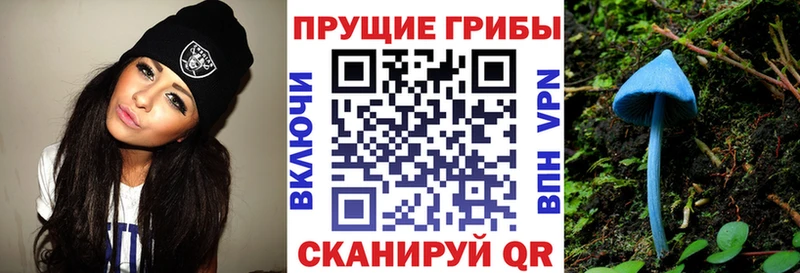 Псилоцибиновые грибы Psilocybe Нязепетровск